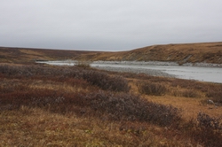 /foto1/2010/Воркута. 23сентября-6 окятбря. Р.Кара/Resize of IMG_4091.JPG